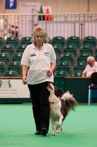 Jenny_Harknett_Instructor_and_Flint_at_Crufts_2013